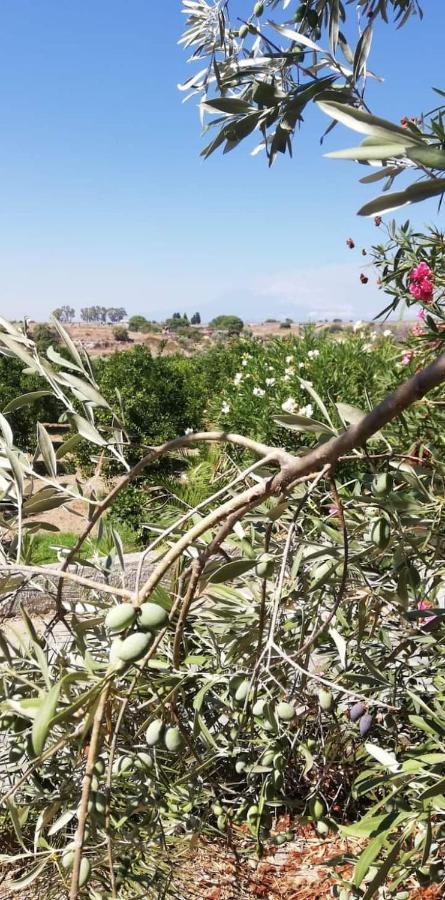 Piccolo Podere Daire Melilli Dış mekan fotoğraf