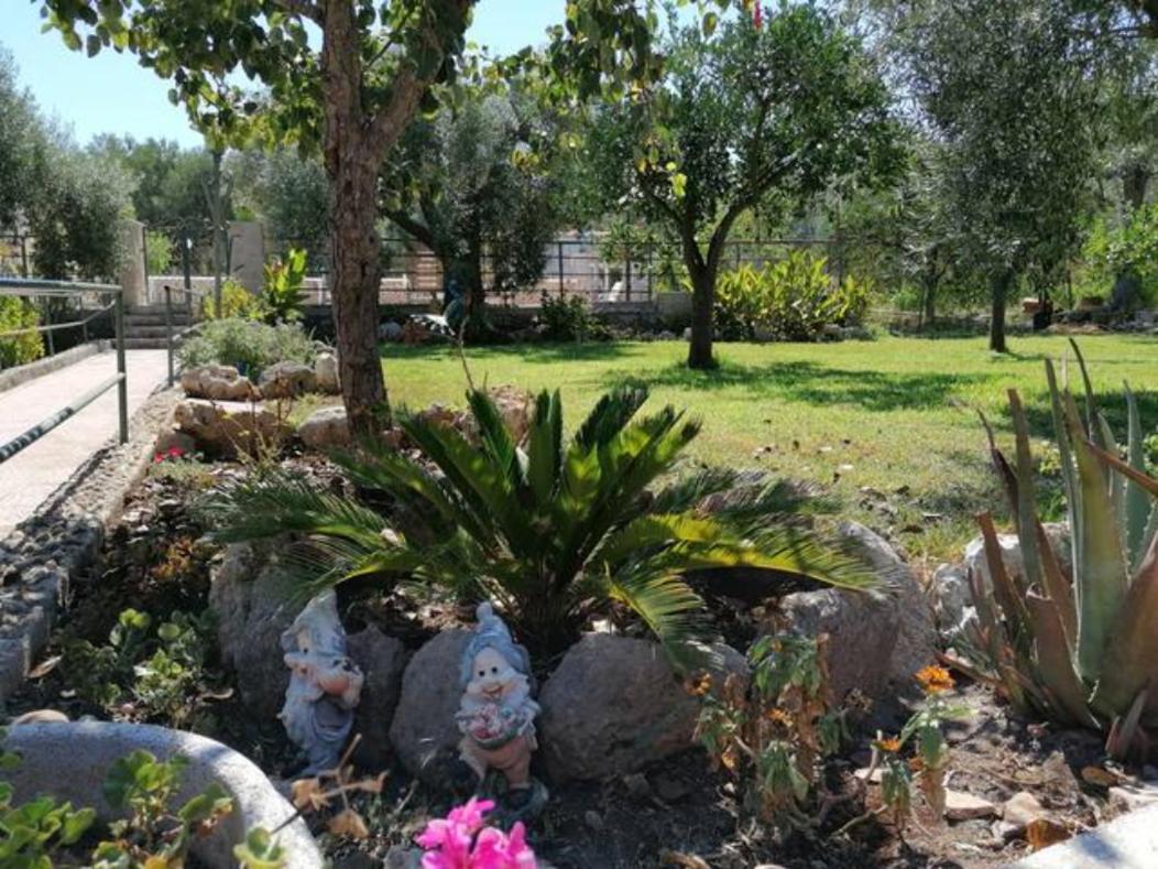 Piccolo Podere Daire Melilli Dış mekan fotoğraf