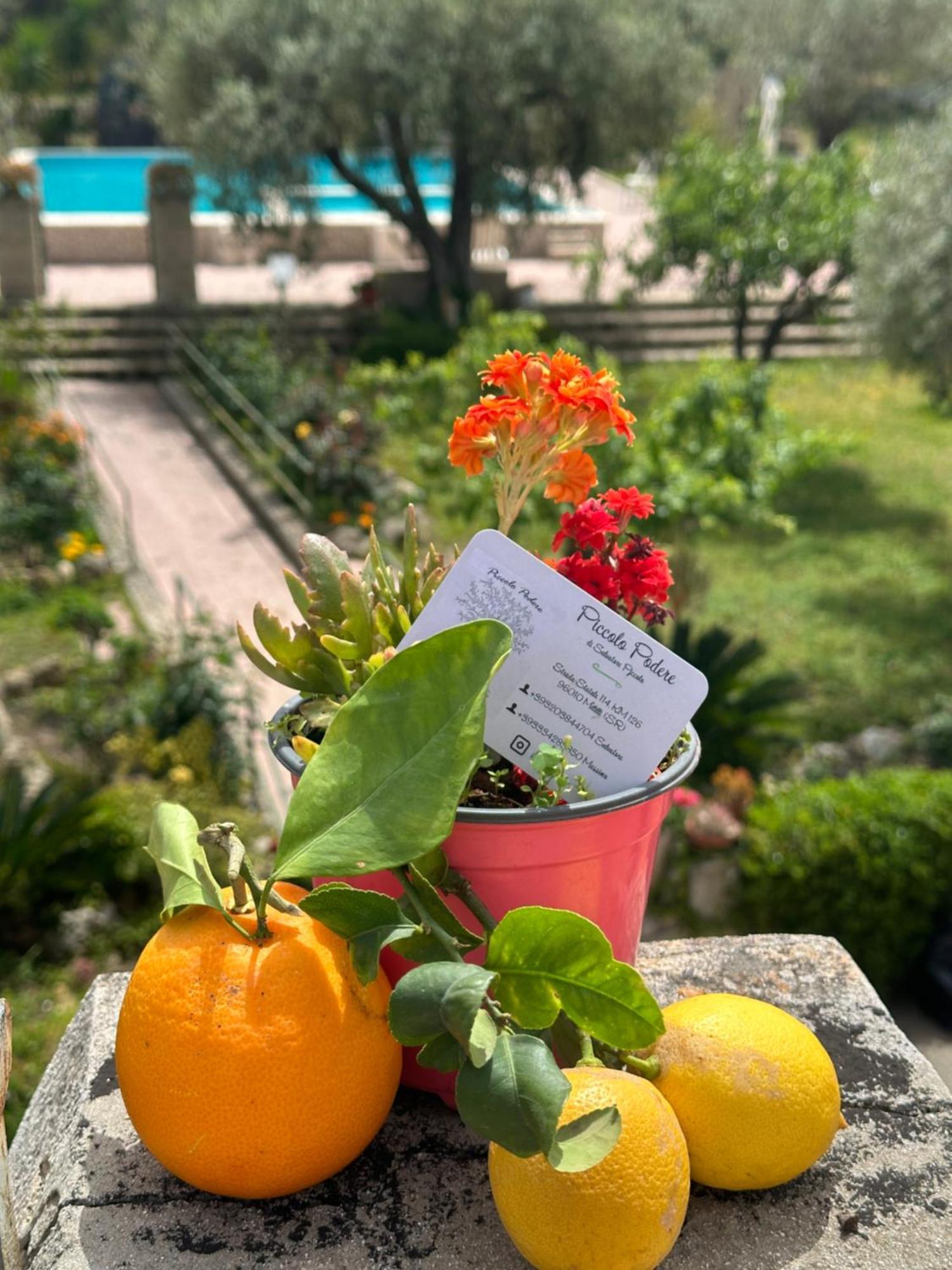 Piccolo Podere Daire Melilli Dış mekan fotoğraf